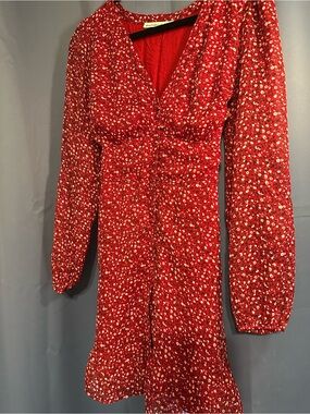 Abercrombie and Fitch button up, long sleeve red floral dress